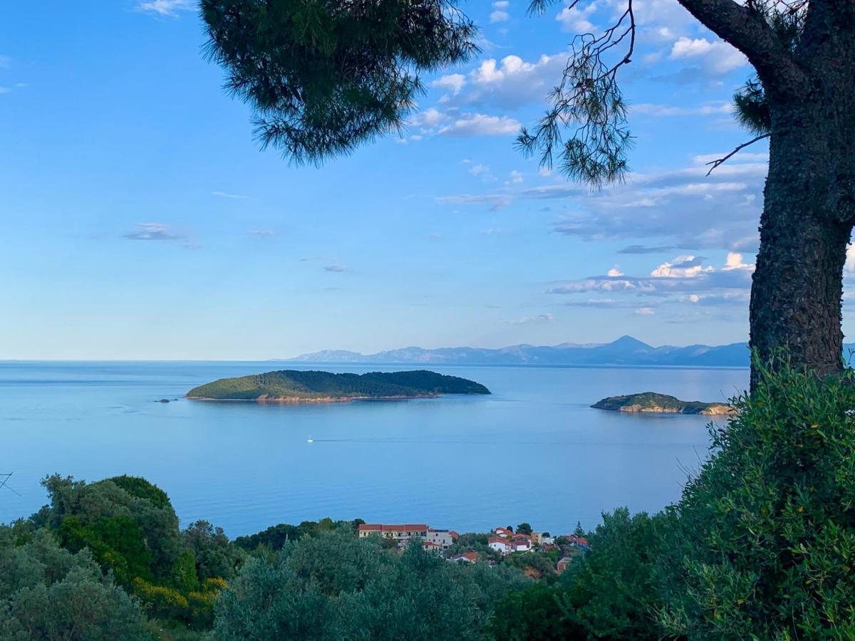 Villa Hermes Vasilias (Skiathos) Exterior foto